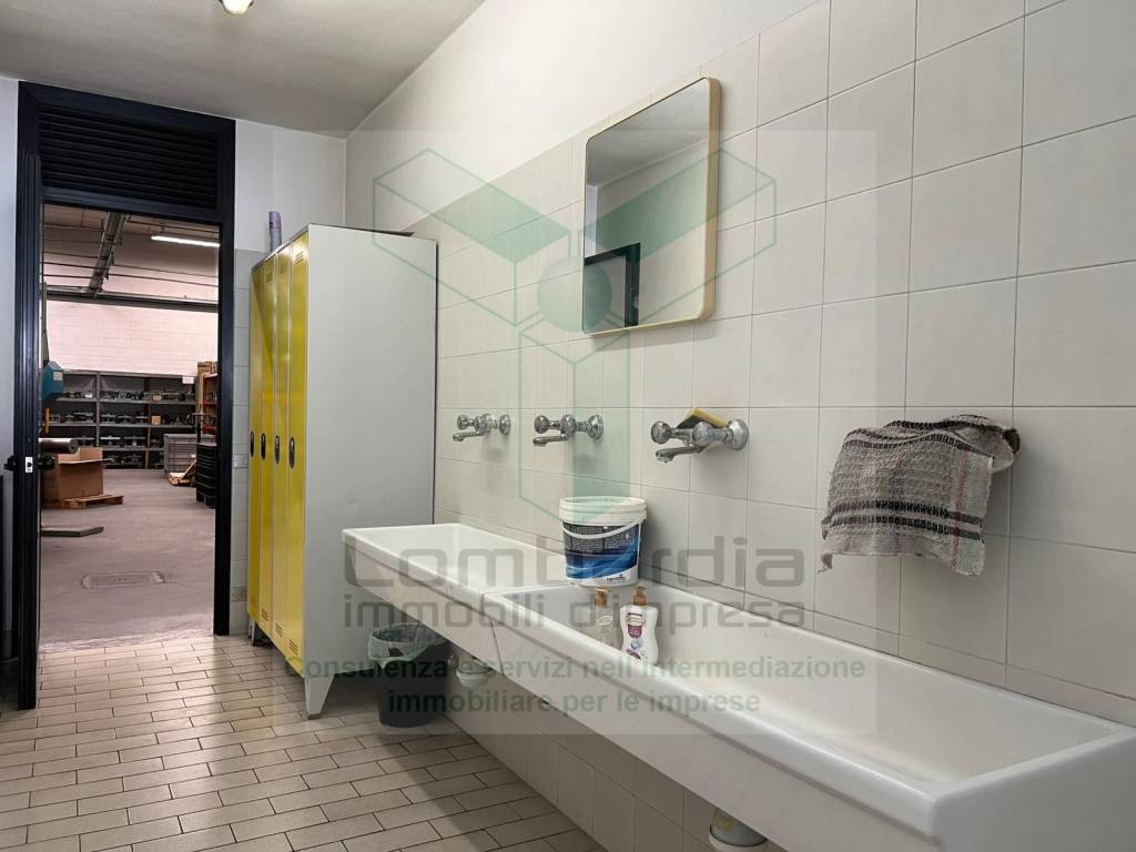 immagine annuncio 11 di 13