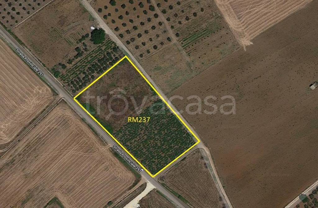 immagine annuncio 3 di 4