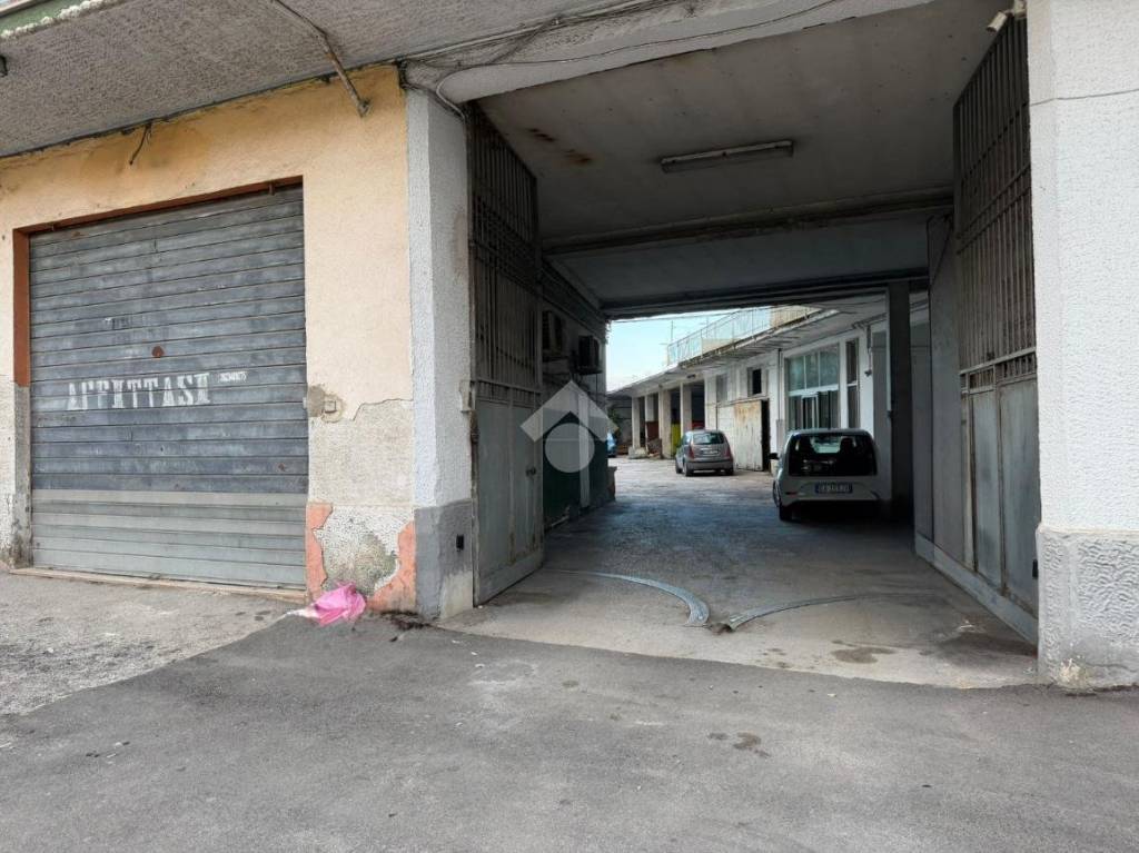 immagine annuncio 1 di 13