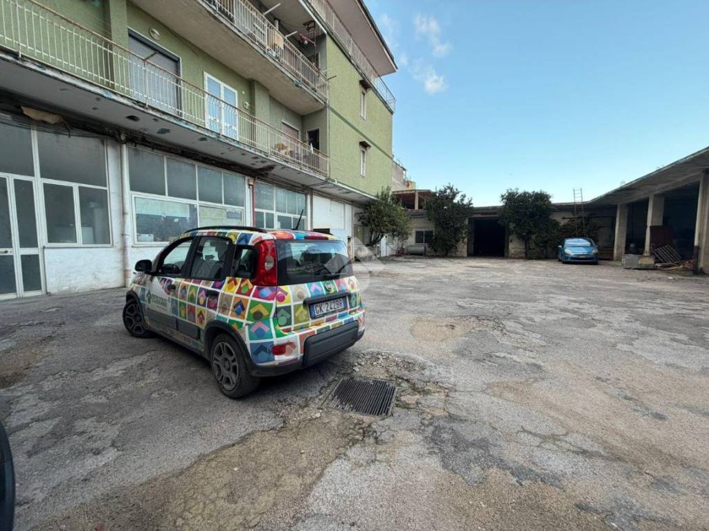 immagine annuncio 2 di 13