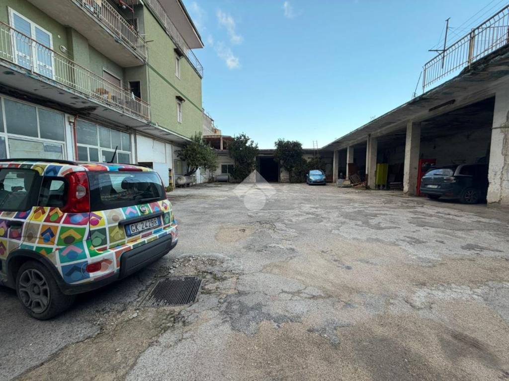 immagine annuncio 3 di 13