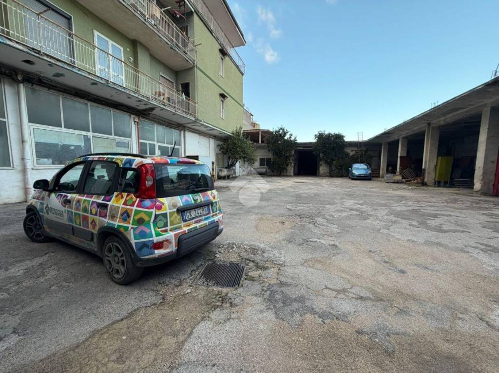 immagine annuncio 4 di 13