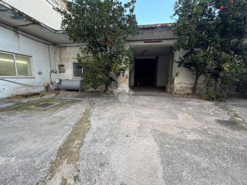 immagine annuncio 12 di 13