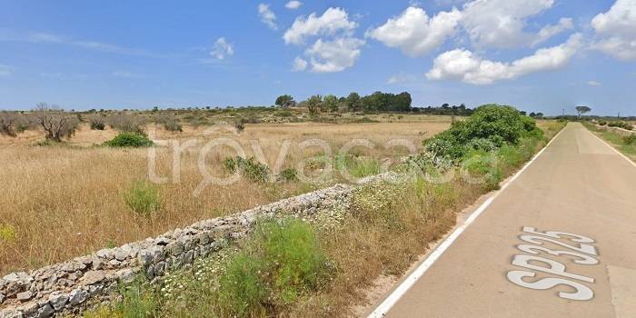 immagine annuncio 1 di 3