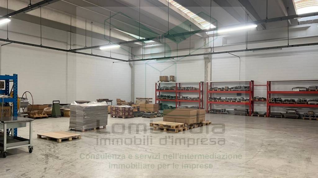 immagine annuncio 1 di 12