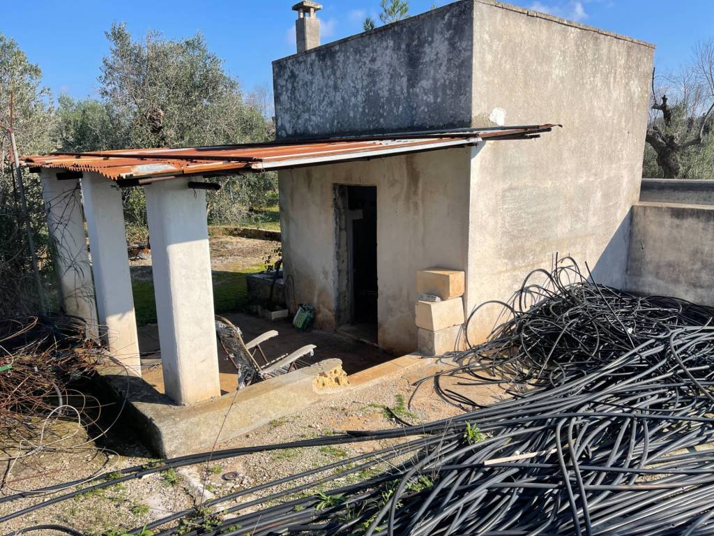 immagine annuncio 1 di 8