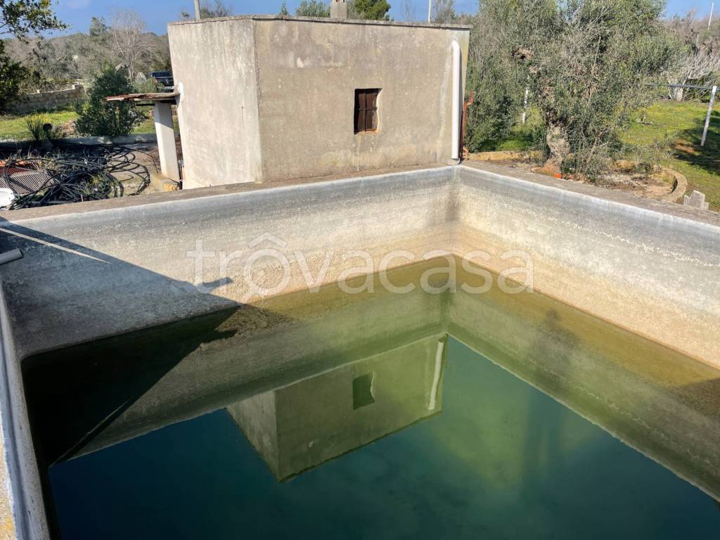 immagine annuncio 2 di 8