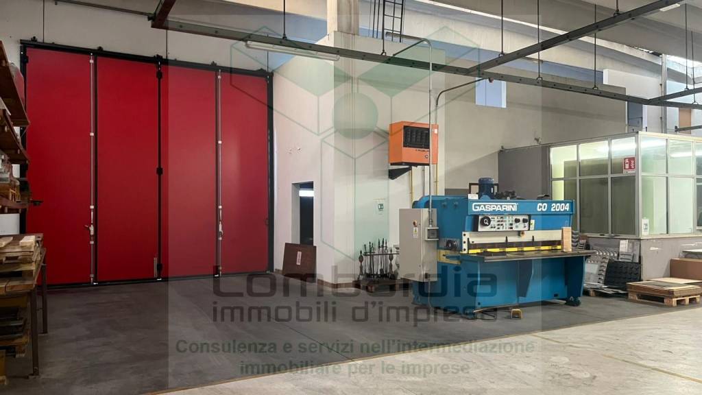 immagine annuncio 2 di 12