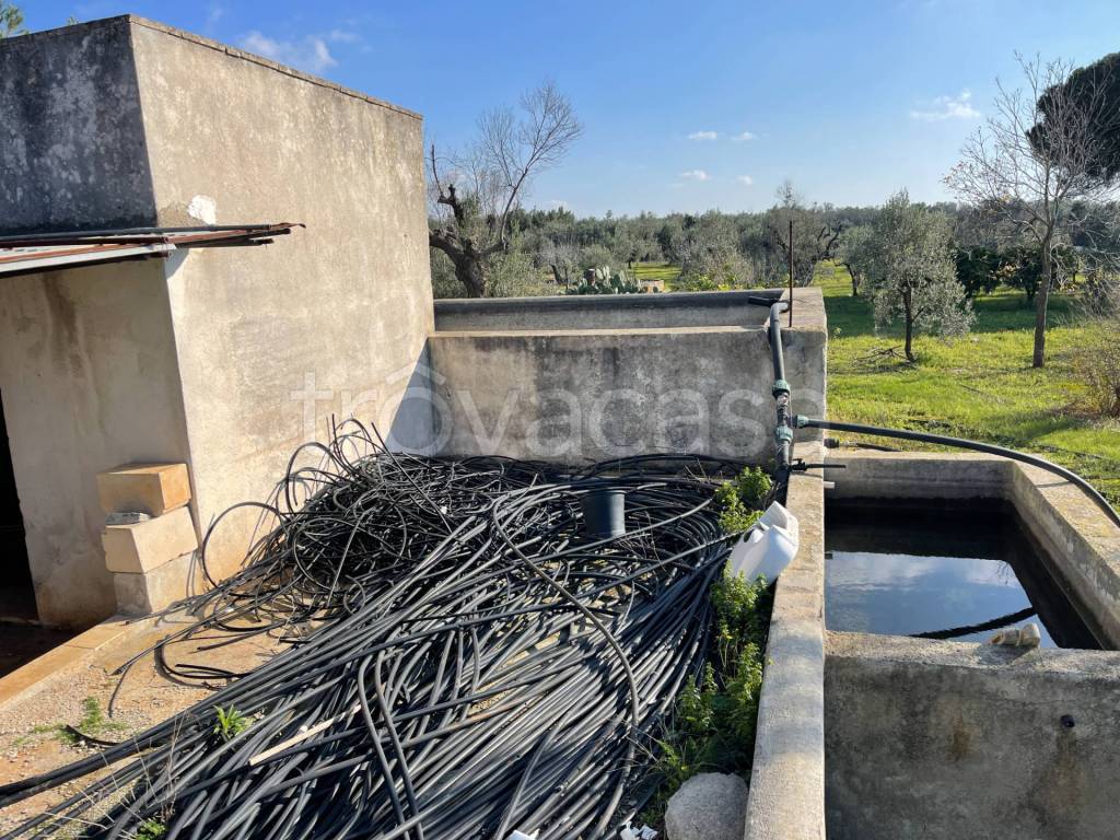 immagine annuncio 3 di 8