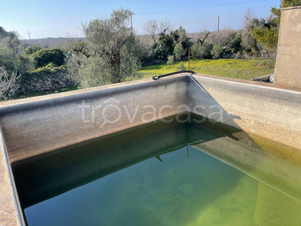 immagine annuncio 4 di 8