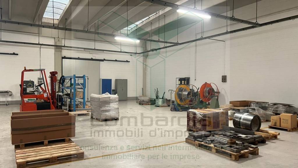 immagine annuncio 4 di 12