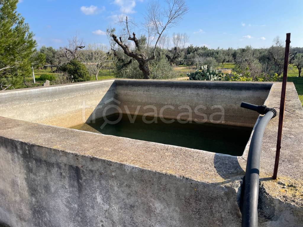 immagine annuncio 6 di 8