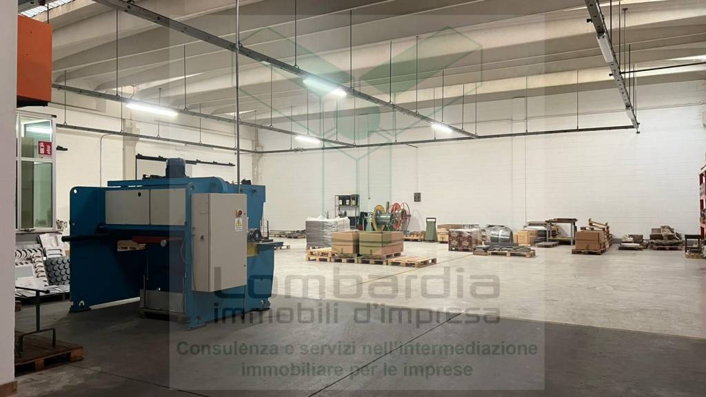 immagine annuncio 5 di 12