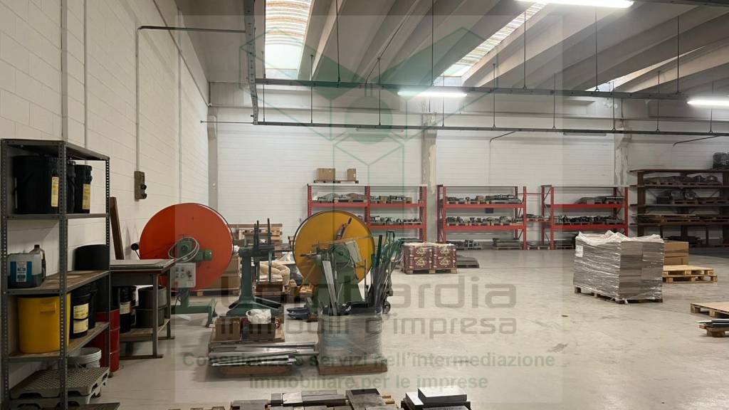 immagine annuncio 8 di 12