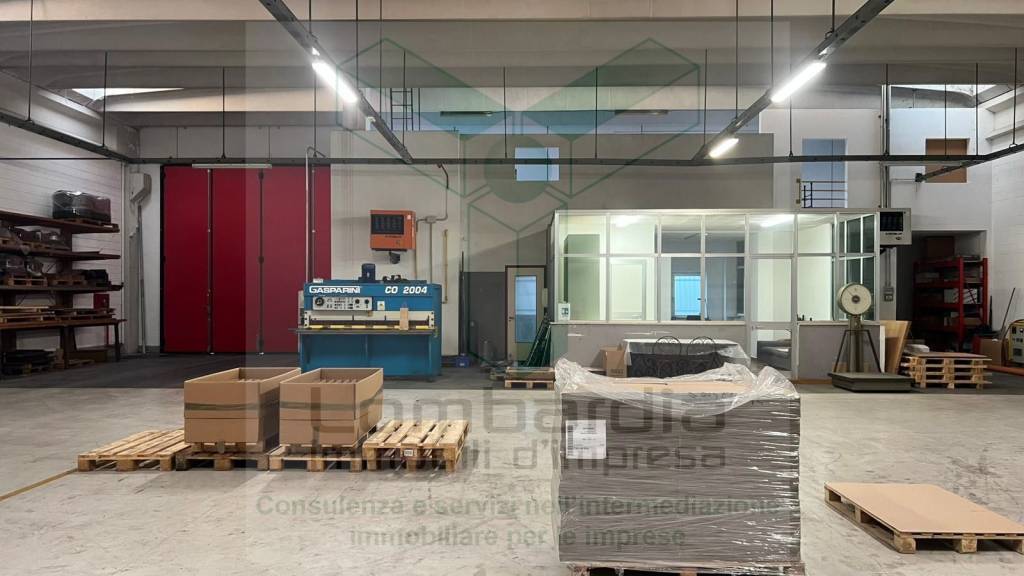 immagine annuncio 9 di 12