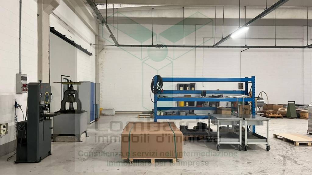 immagine annuncio 10 di 12