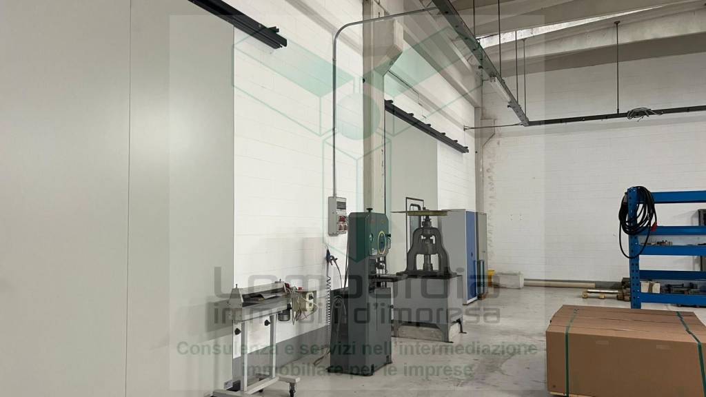 immagine annuncio 11 di 12