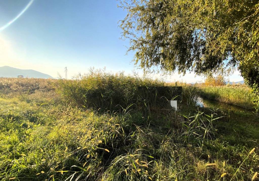 immagine annuncio 4 di 6