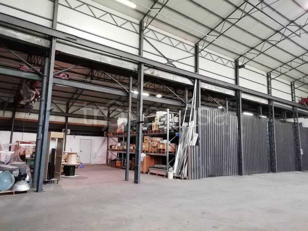 immagine annuncio 10 di 15