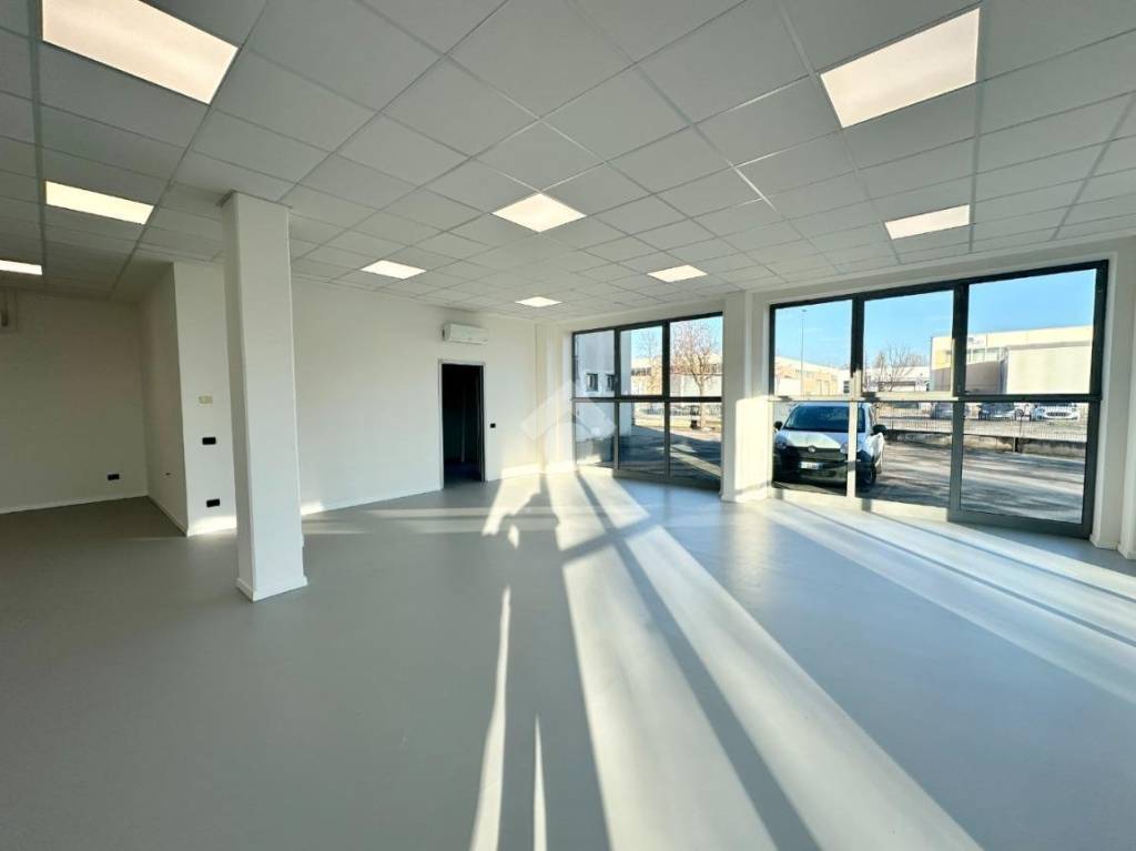 immagine annuncio 5 di 8