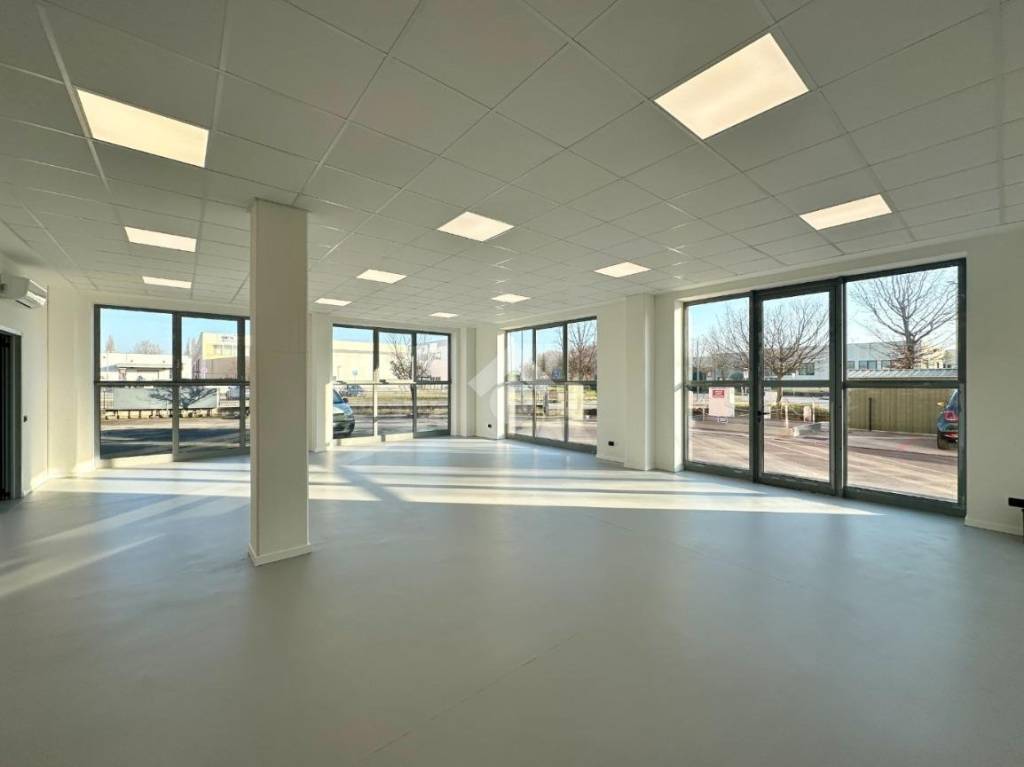 immagine annuncio 6 di 8