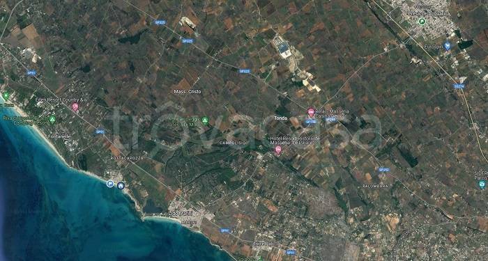 immagine annuncio 2 di 4