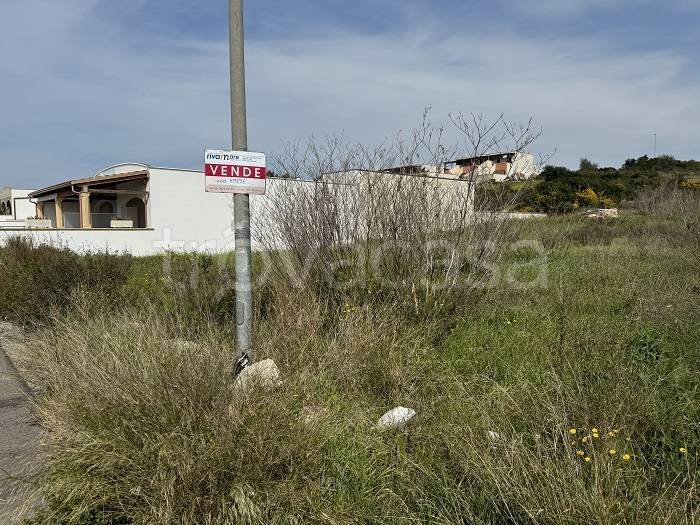 immagine annuncio 5 di 8