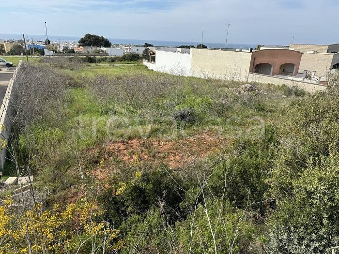 immagine annuncio 6 di 8