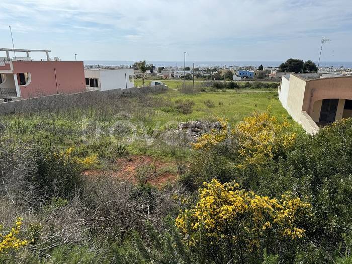 immagine annuncio 7 di 8