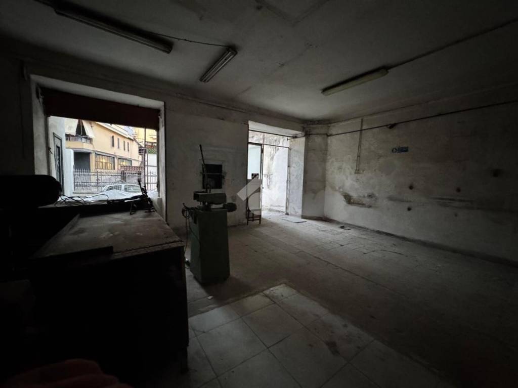 immagine annuncio 5 di 13