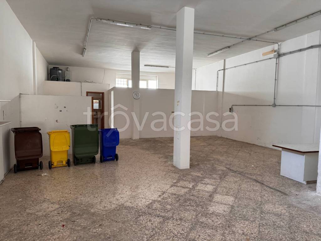 immagine annuncio 4 di 7