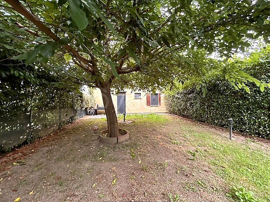 immagine annuncio 3 di 14