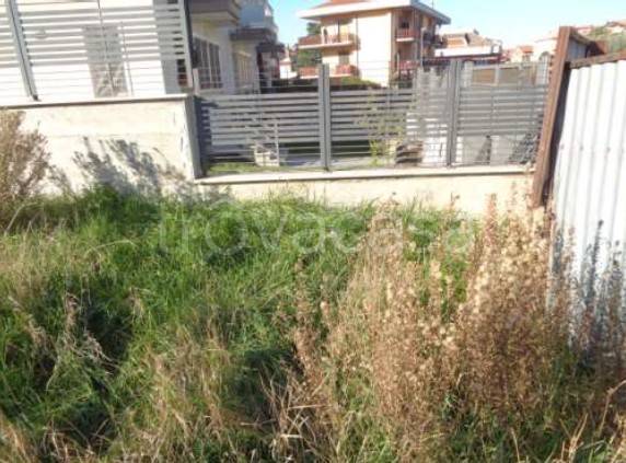 immagine annuncio 5 di 7