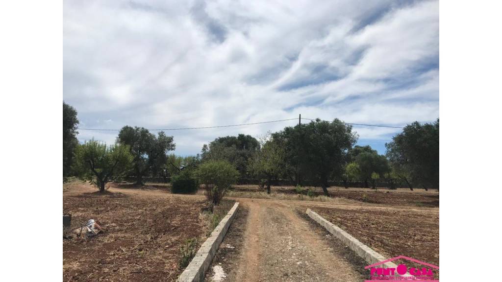 immagine annuncio 5 di 8