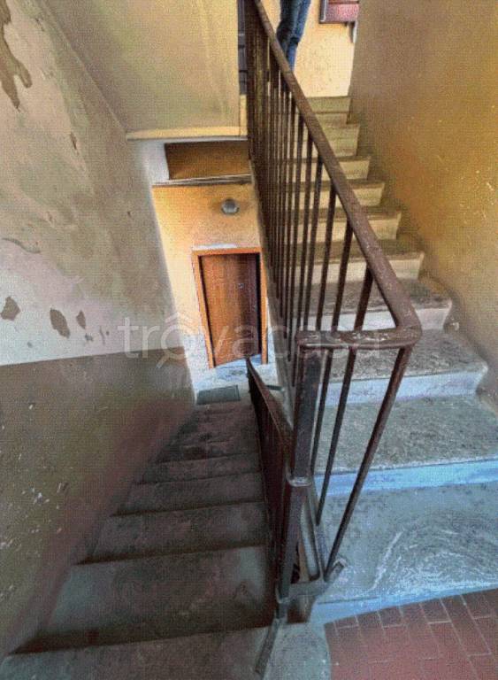 immagine annuncio 4 di 14