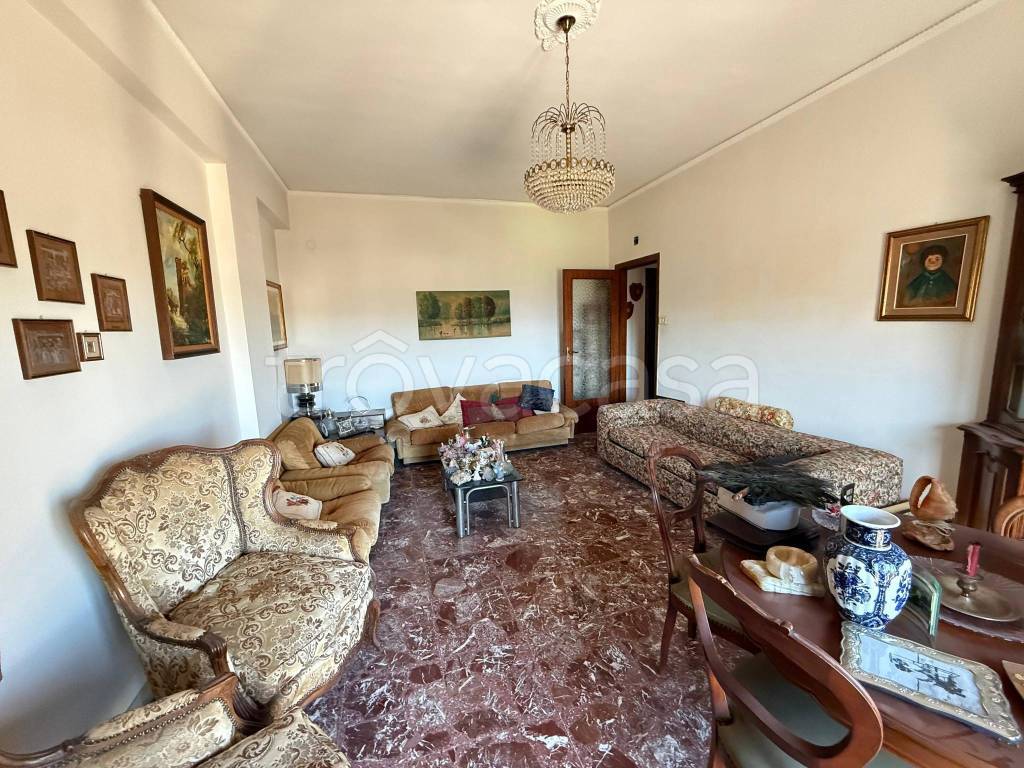 immagine annuncio 2 di 14