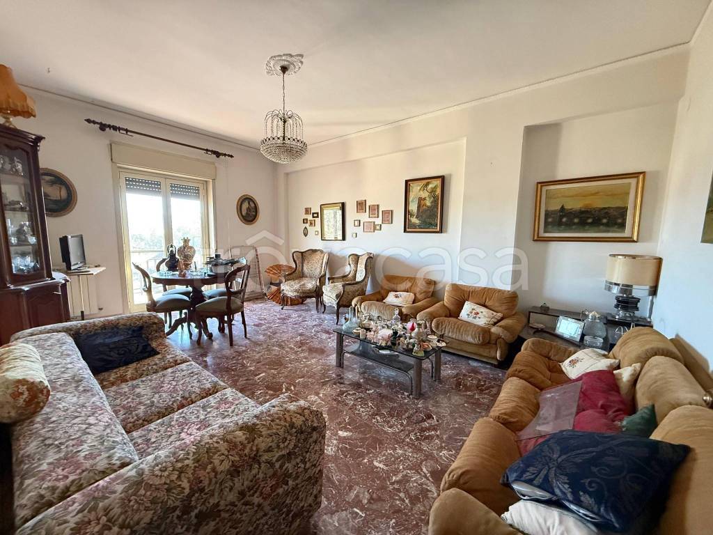 immagine annuncio 4 di 14