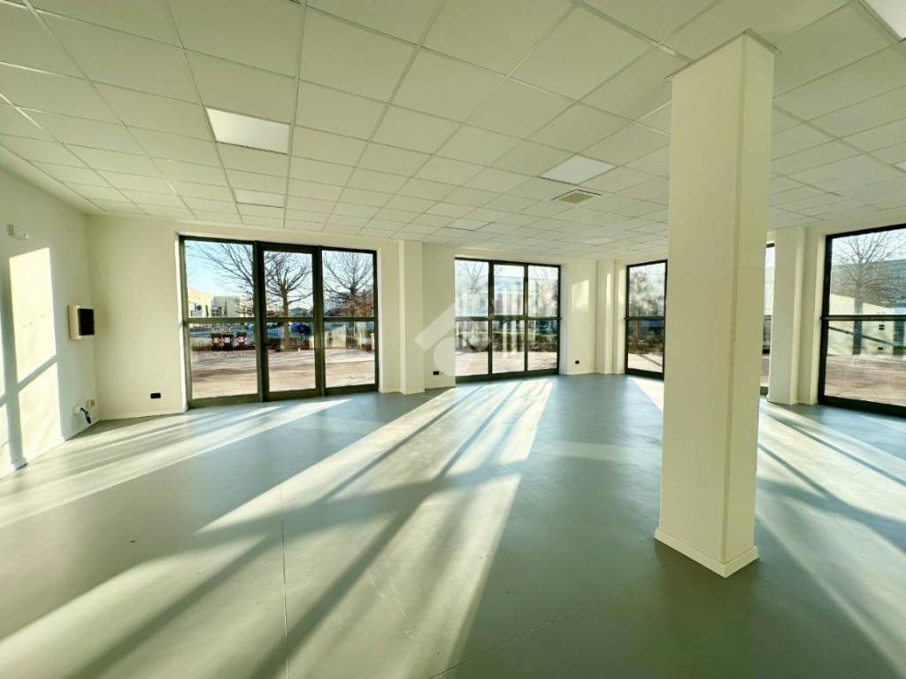 immagine annuncio 4 di 7