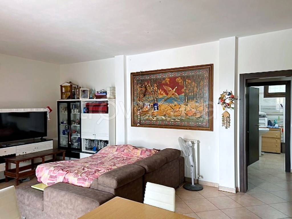 immagine annuncio 6 di 14