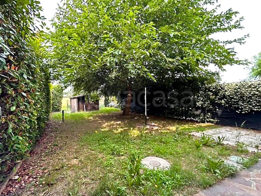 immagine annuncio 7 di 14