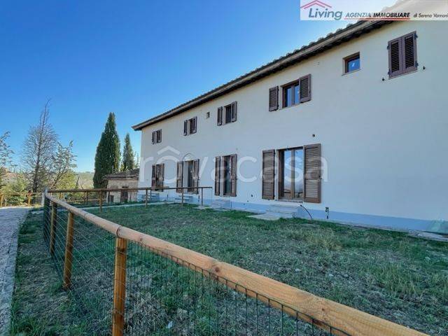 immagine annuncio 4 di 6