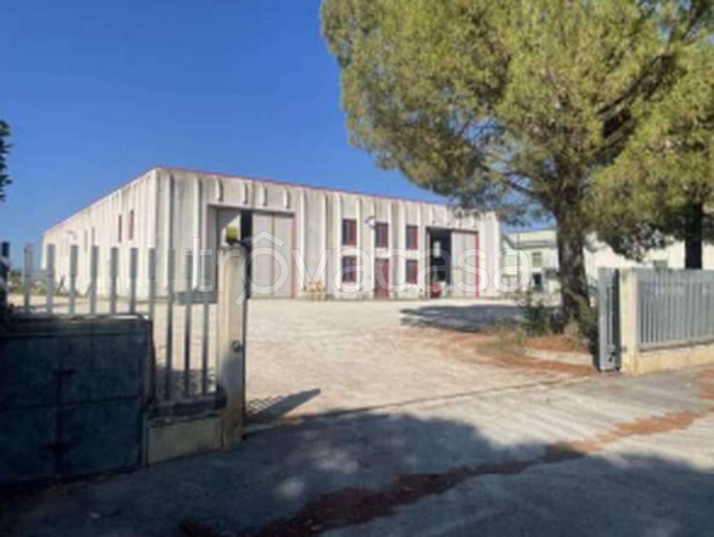 immagine annuncio 9 di 10