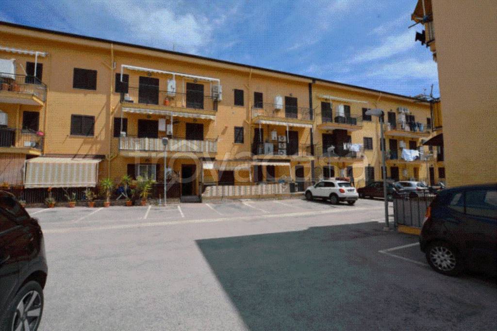 immagine annuncio 2 di 9