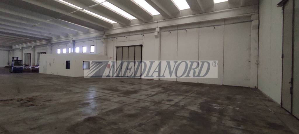 immagine annuncio 3 di 13