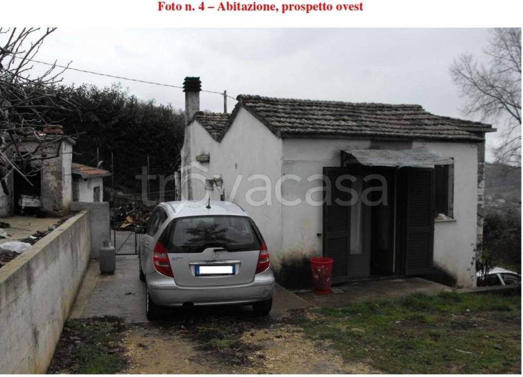 immagine annuncio 5 di 12