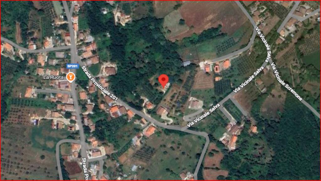 immagine annuncio 11 di 12