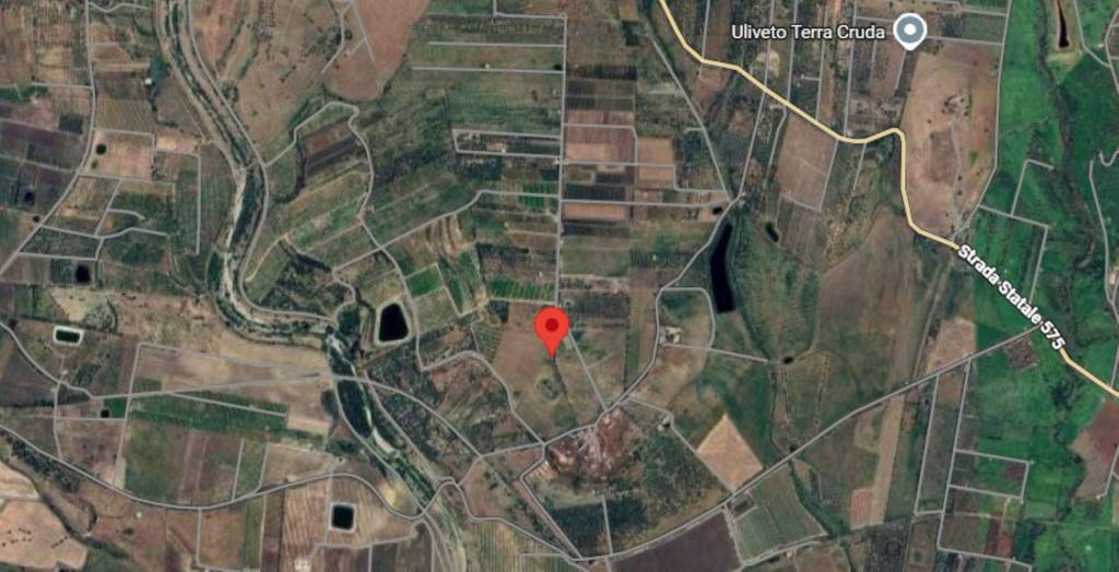 immagine annuncio 4 di 12