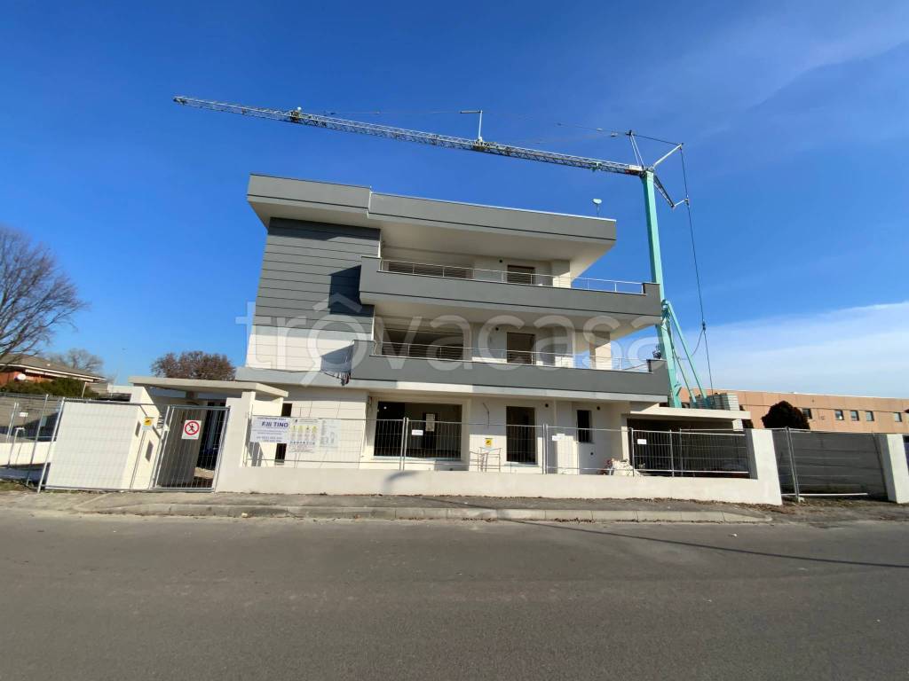 immagine annuncio 3 di 15