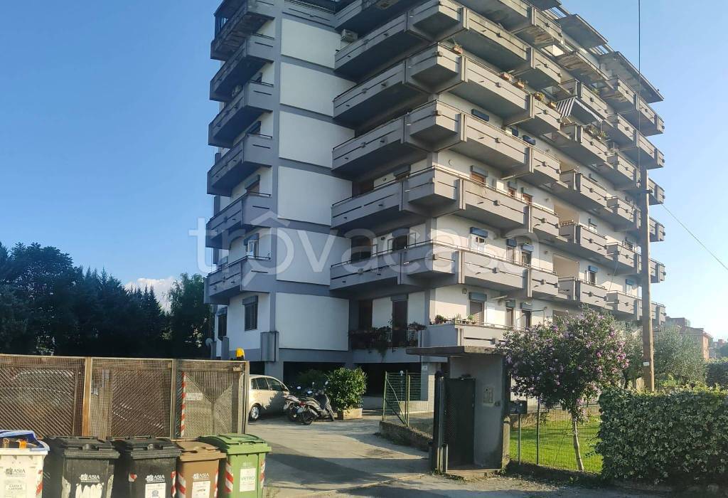 immagine annuncio 1 di 14