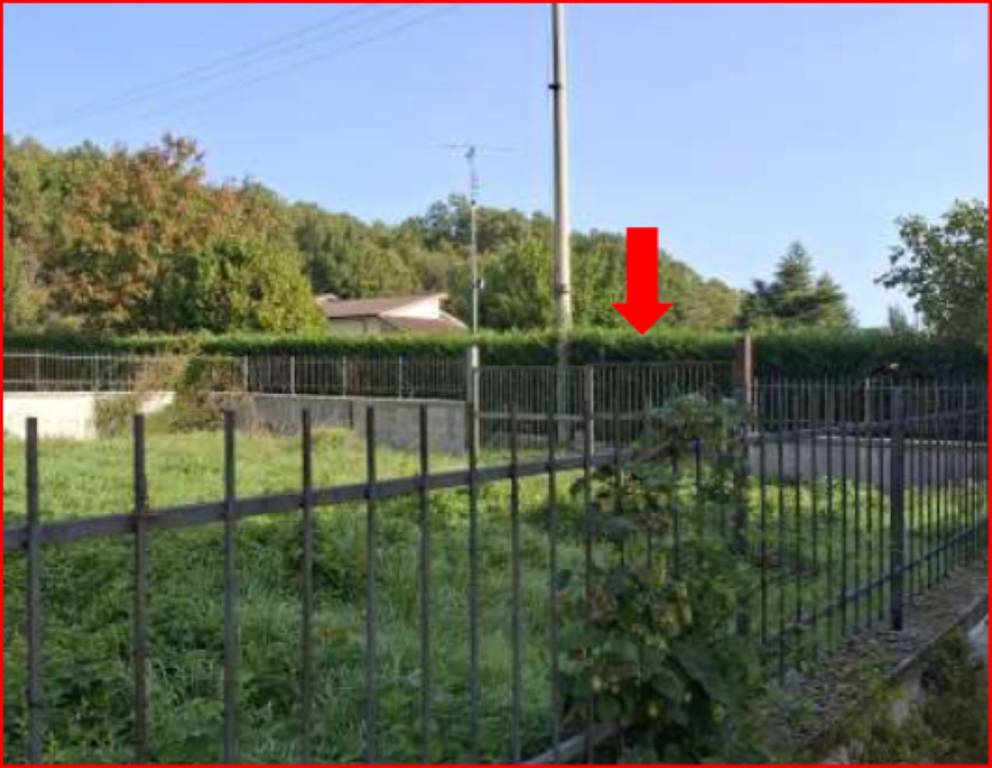 immagine annuncio 4 di 13